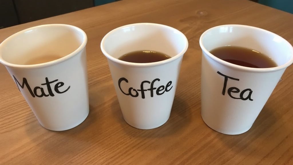 마테차 카페인과 다른 음료 비교