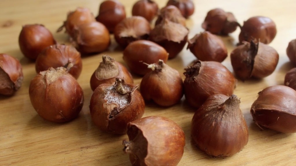 밤의 영양가와 건강 효과