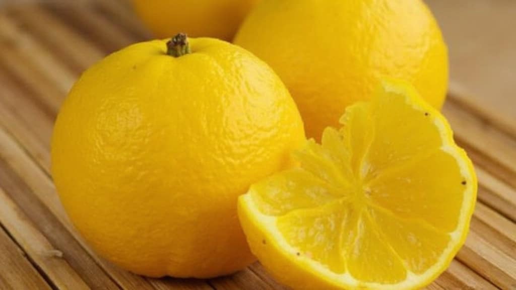 유자 효능의 주요 영양 성분